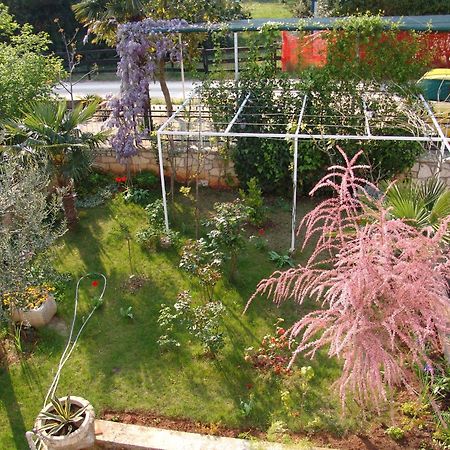 Villa Salvia Rooms And Apartments Ровин Екстериор снимка