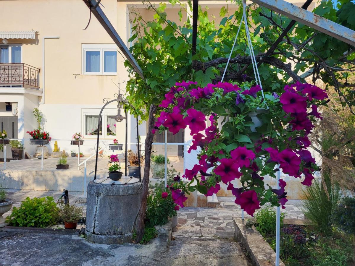Villa Salvia Rooms And Apartments Ровин Екстериор снимка