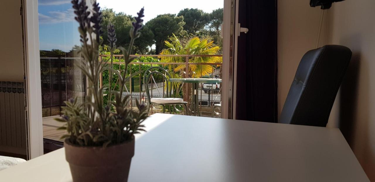 Villa Salvia Rooms And Apartments Ровин Екстериор снимка